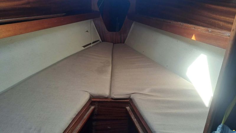 Bianca Commander 31