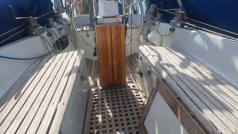 Bianca Commander 31