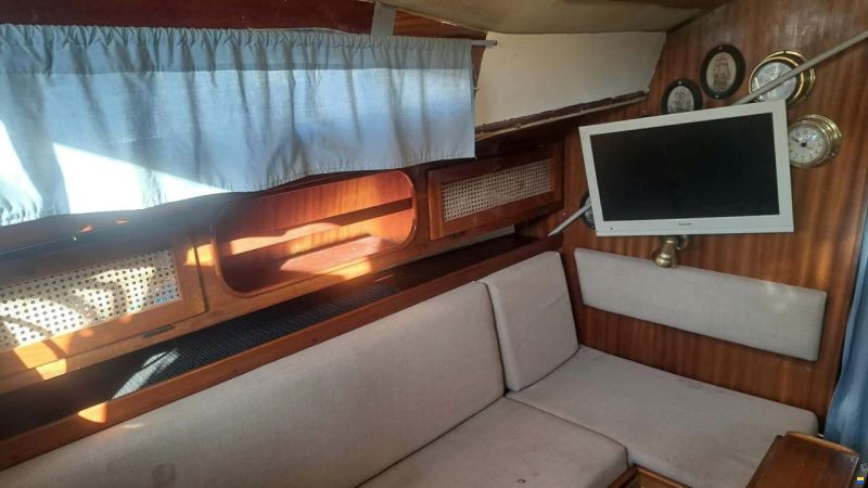 Bianca Commander 31