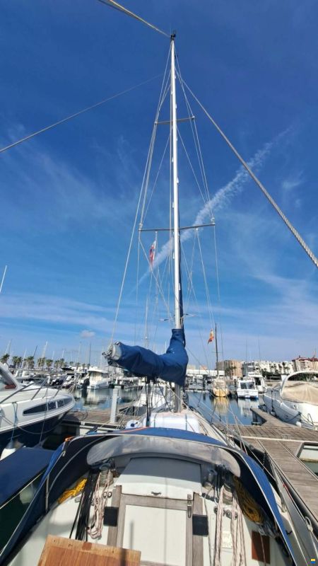 Bianca Commander 31