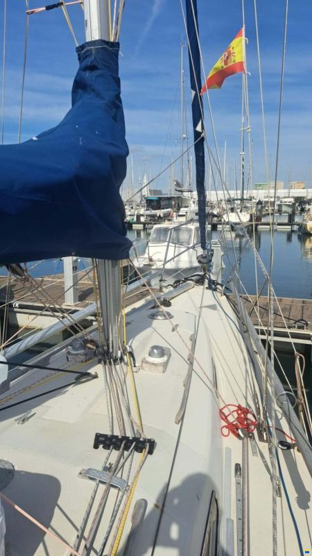 Bianca Commander 31