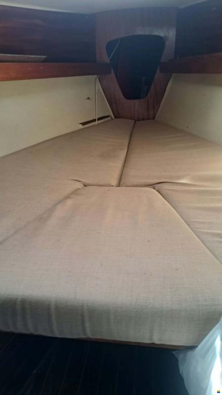 Bianca Commander 31