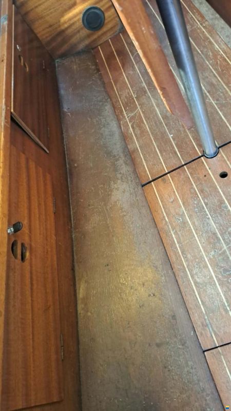 Bianca Commander 31