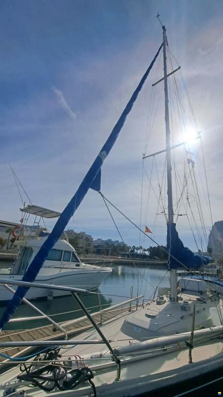 Bianca Commander 31