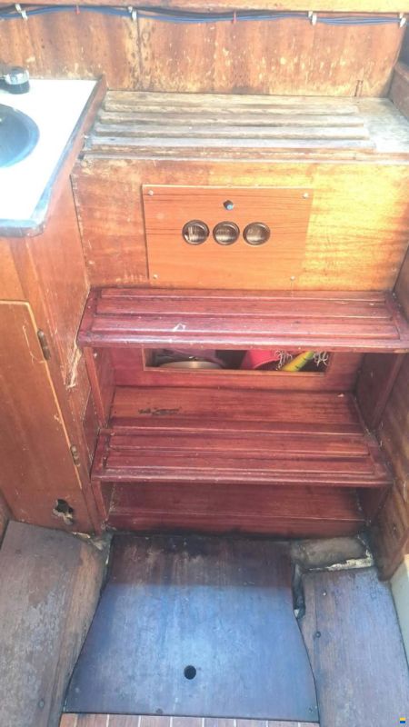Bianca Commander 31