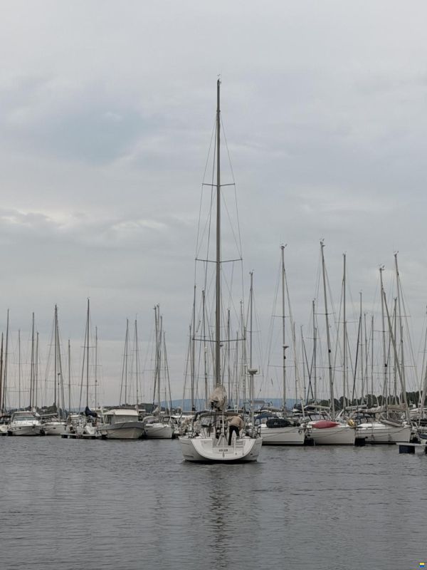 Dufour 44