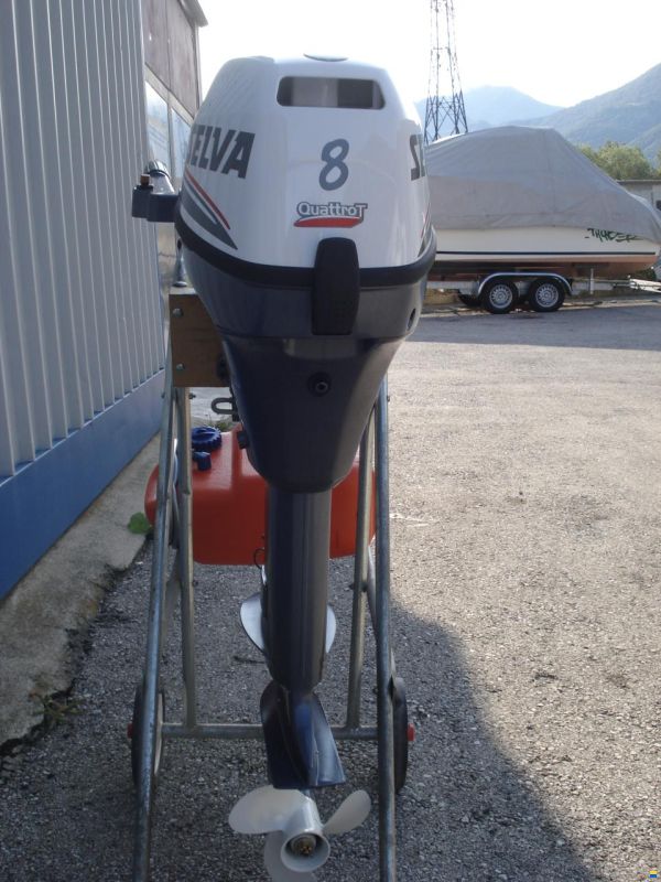 Selva Ray 8