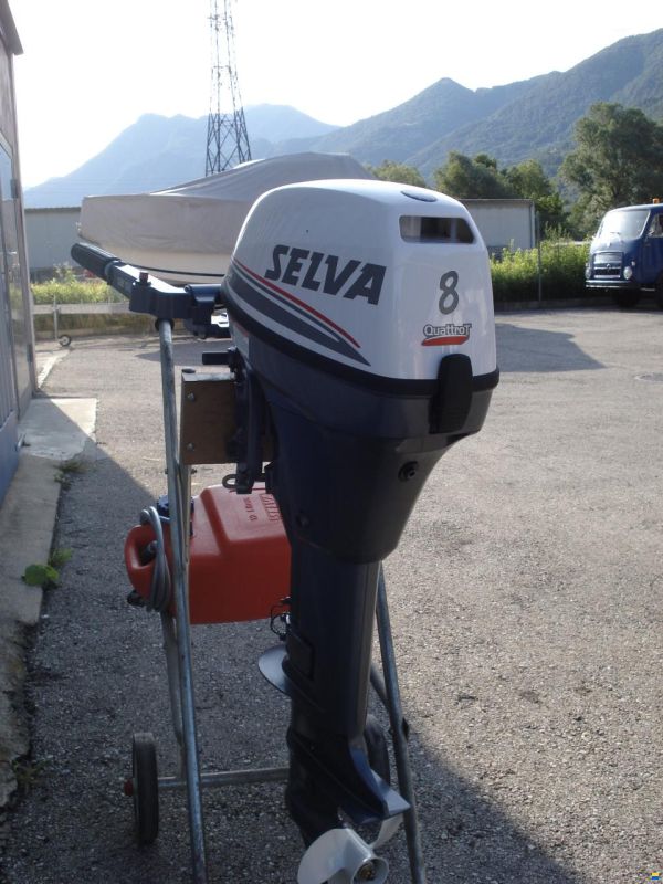 Selva Ray 8