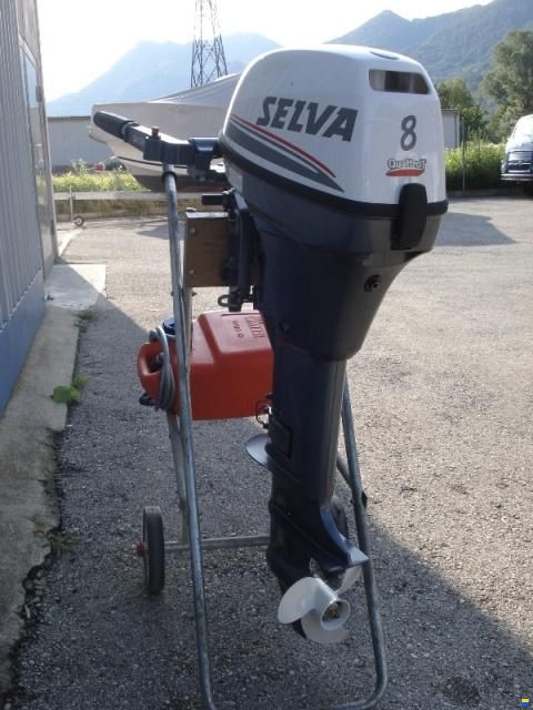 Selva Ray 8