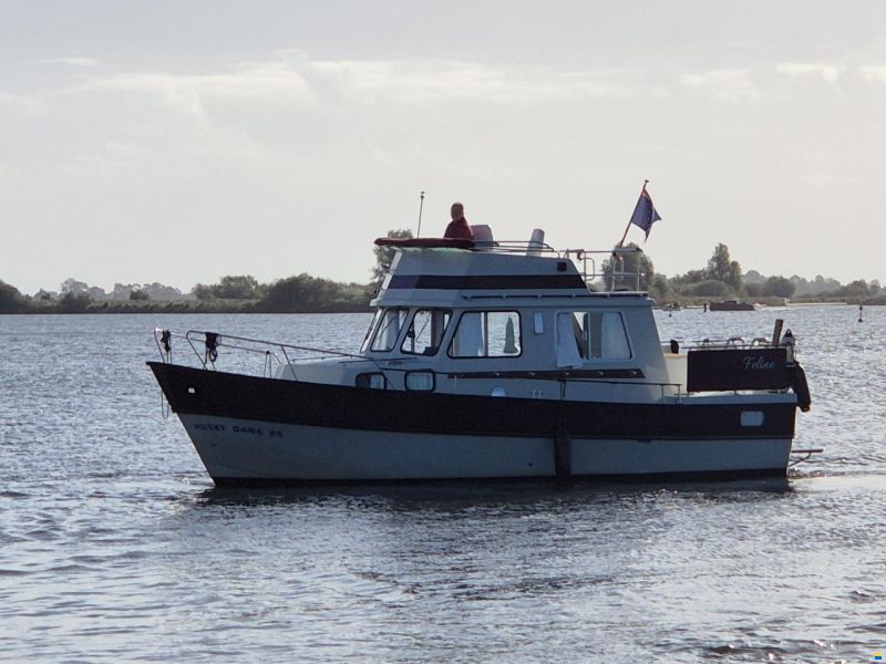 Husky Dane 85