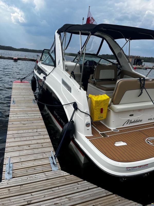 Bayliner Ciera 8