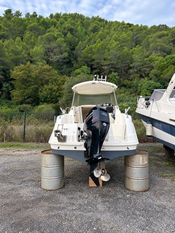 Cabinati Fish 560