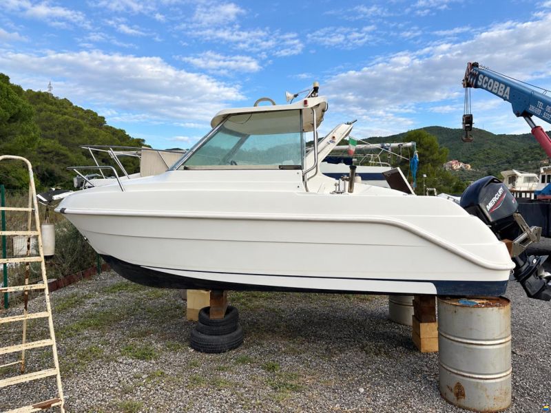 Cabinati Fish 560