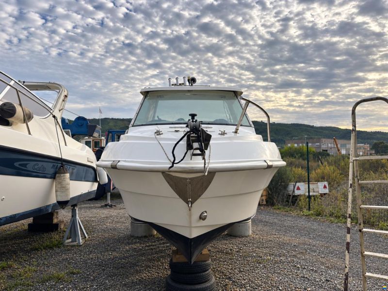 Cabinati Fish 560