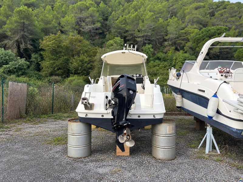 Cabinati Fish 560