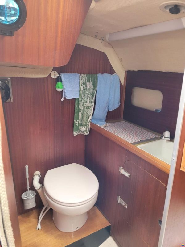 Conati 31 (Chantier Naval de l'Artimon)