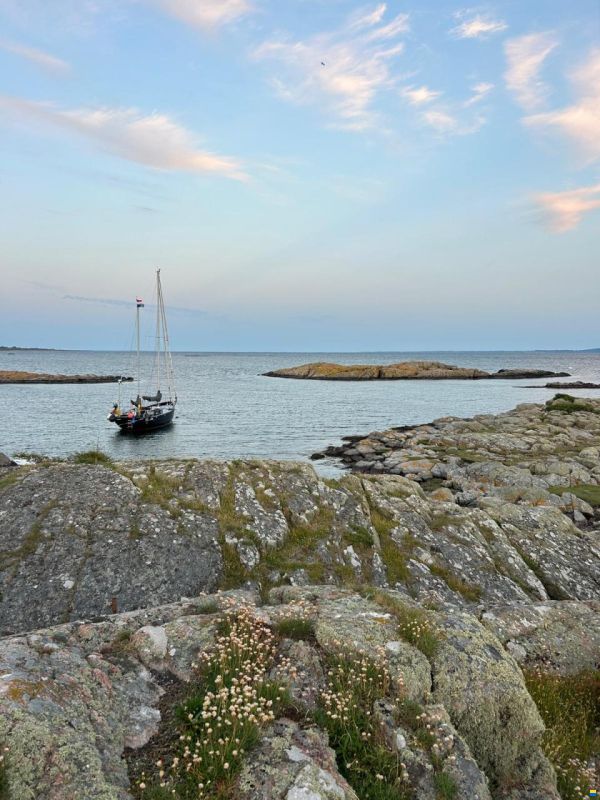 Noordkaper 36