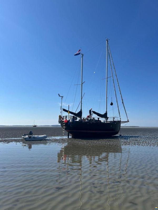 Noordkaper 36