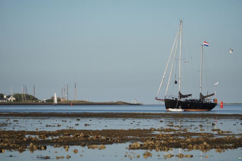 Noordkaper 36