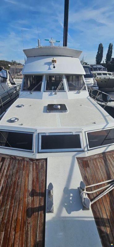 Neptunus 133 Flybridge