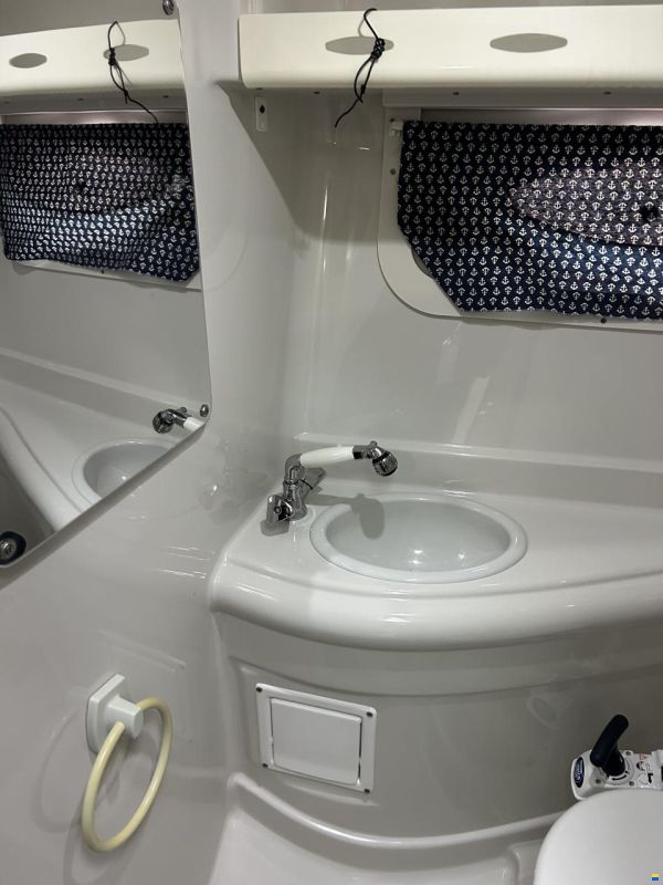 Crownline 250 CR