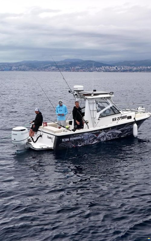 Bayliner Sportfishing boat Bayliner 2509