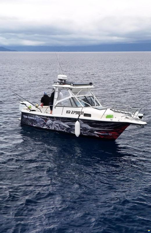 Bayliner Sportfishing boat Bayliner 2509