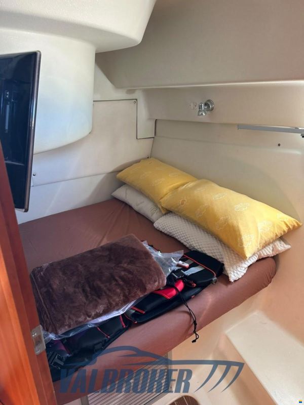 Starfisher ST 34 CRUISER