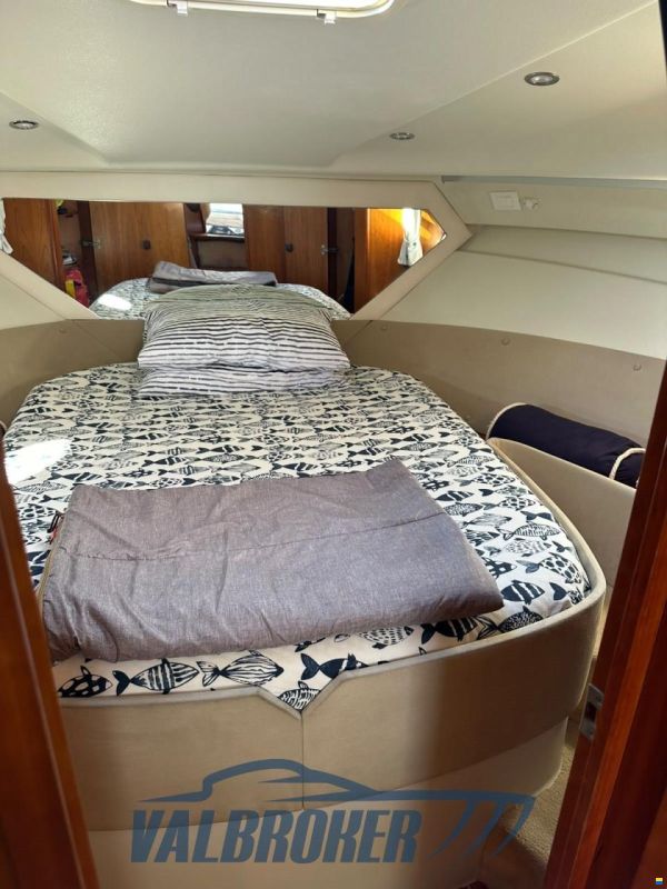 Starfisher ST 34 CRUISER