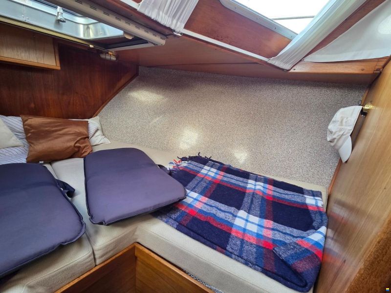Atlantic 37