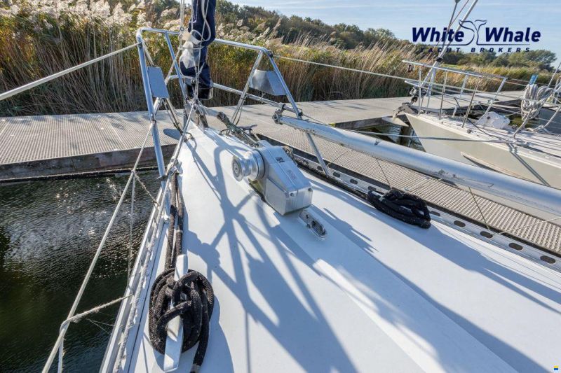 Carena 36