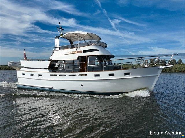 Tayana Trawler - Pieter Beeldsnijder