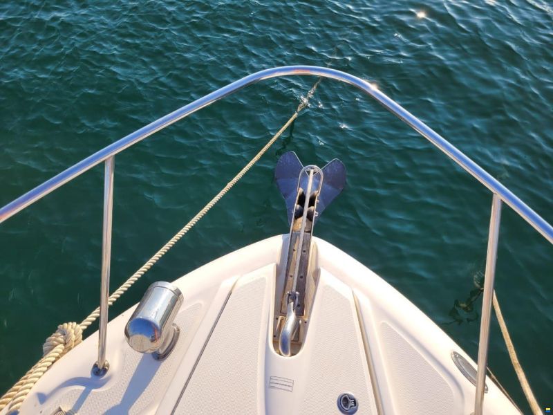 Sea Ray Sea Ray