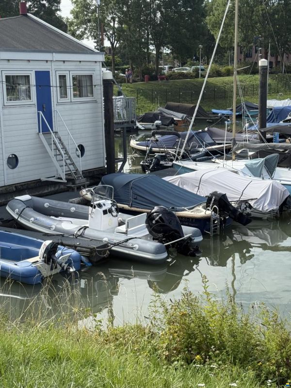 Blue Rib 5.20 Rib hypalon NL gebouwd