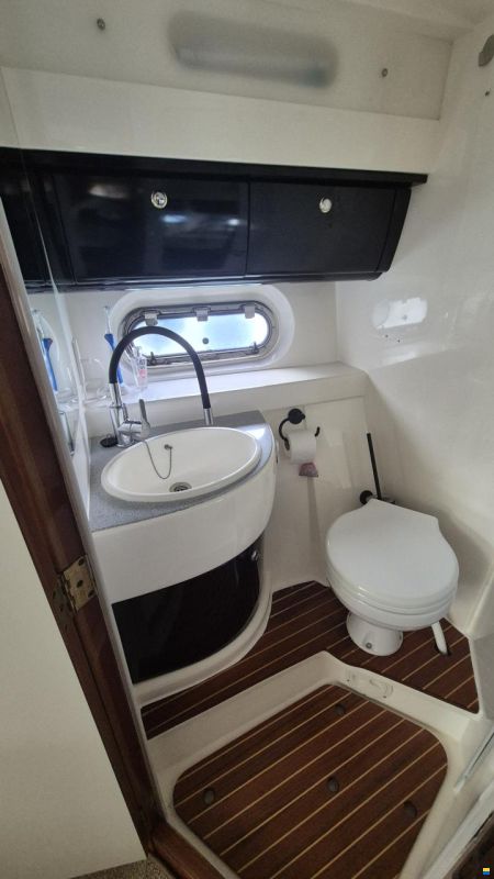 Sealine F37