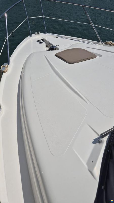 Sealine F37