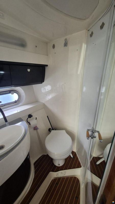 Sealine F37