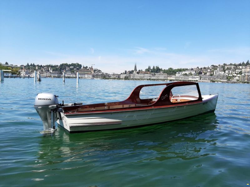 Bucher 580