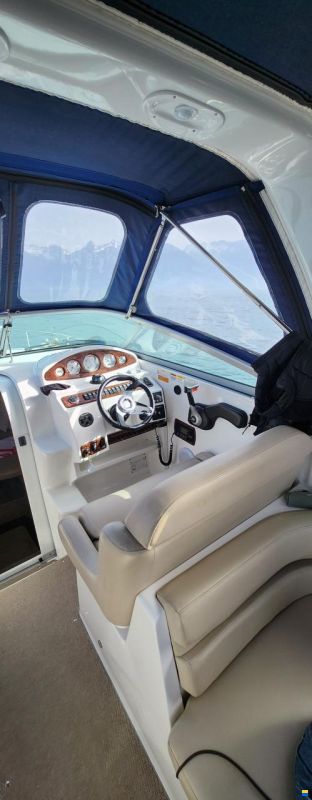 Rinker 260 EC Cruiser