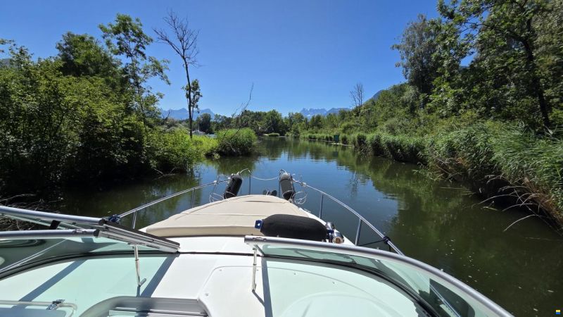 Rinker 260 EC Cruiser