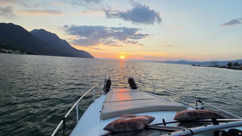 Rinker 260 EC Cruiser