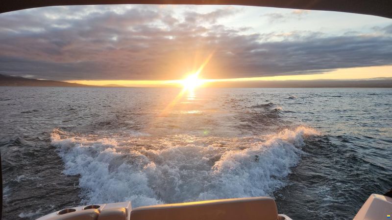 Rinker 260 EC Cruiser