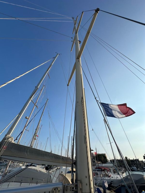 Dynamic 43