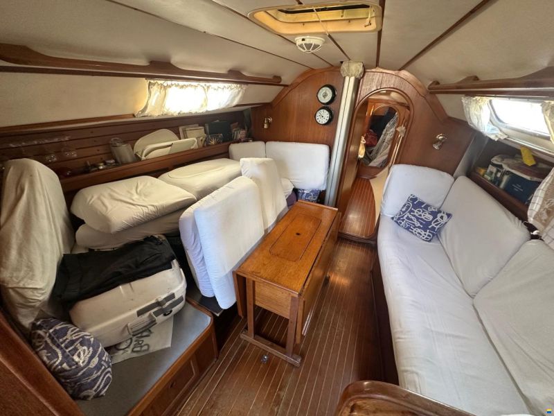 Dynamic 43