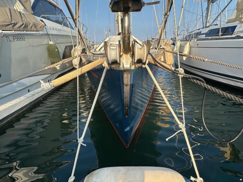 Dynamic 43