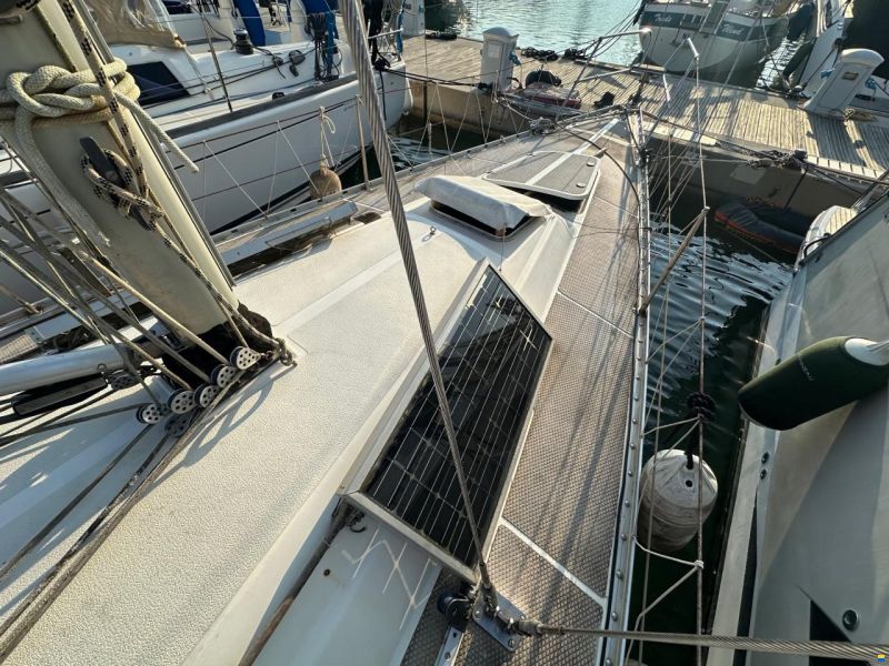 Dynamic 43