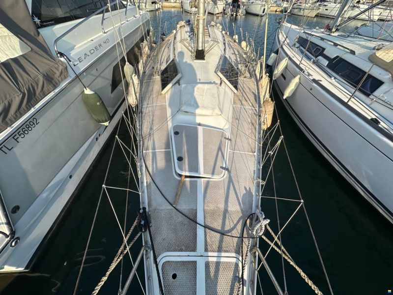Dynamic 43