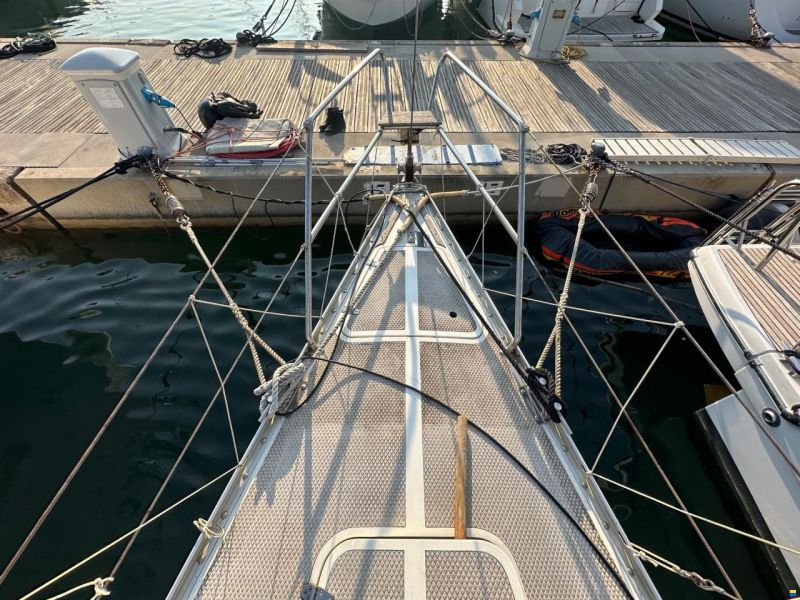 Dynamic 43