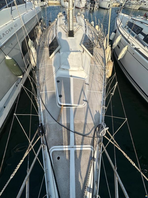 Dynamic 43