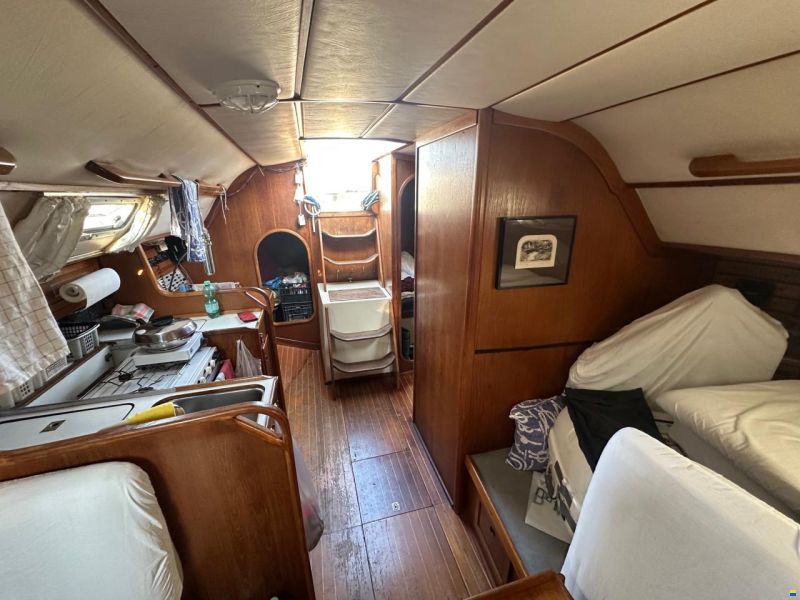 Dynamic 43
